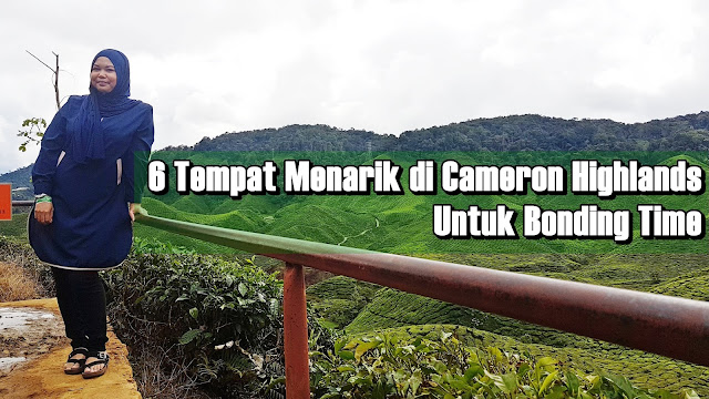 6 Tempat Menarik di Cameron Highlands Untuk Bonding Time 6 Tempat Menarik di Cameron Highlands Untuk Bonding Time