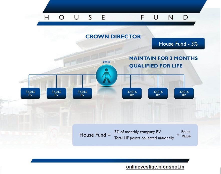 Business plan of vestige company image