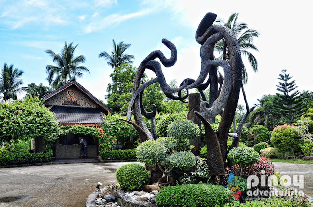 Cintai Coritos Garden Balete Batangas