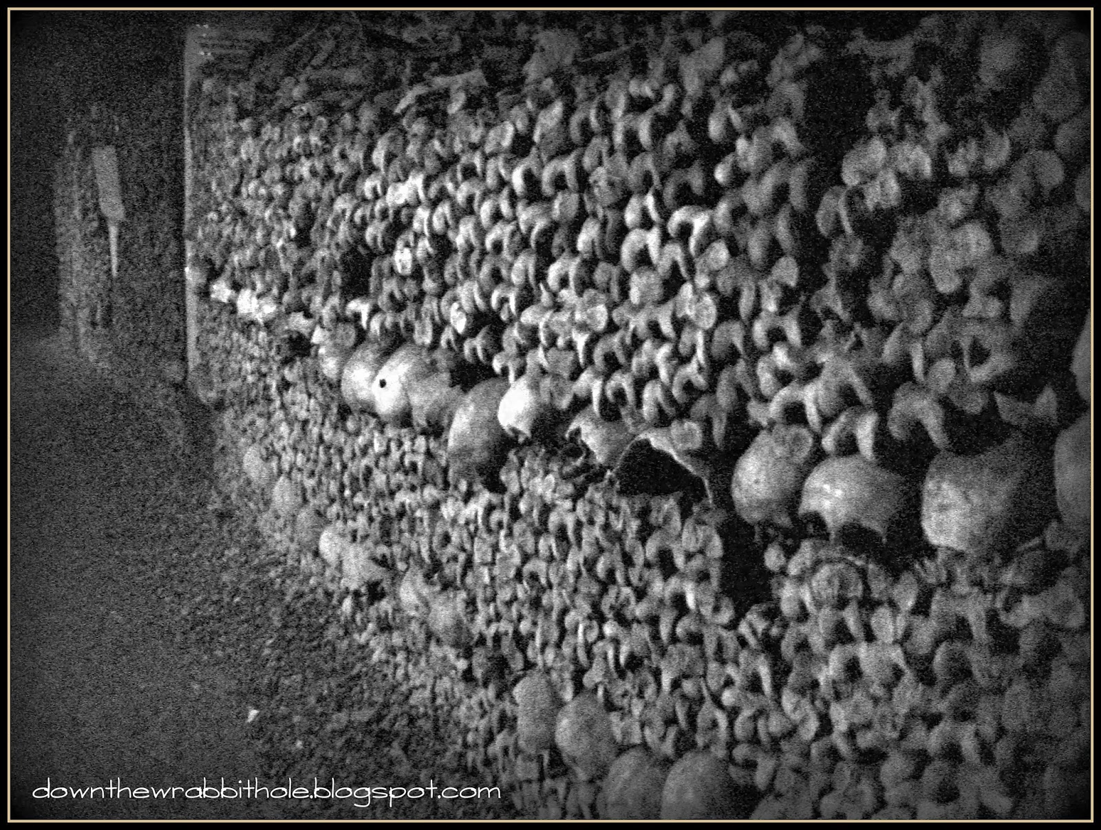 Down the Wrabbit Hole The Travel Bucket List Explore the