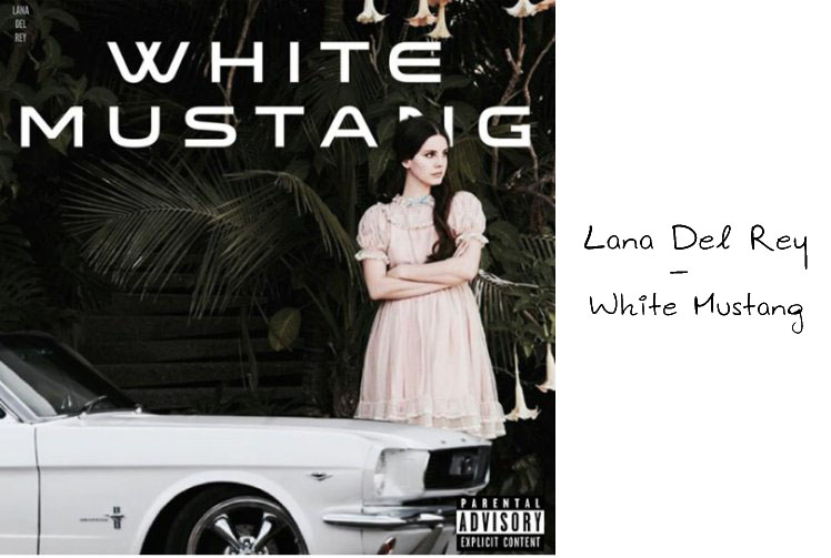 White mustang lana. Lana del Rey White Mustang. Lana del Rey обложка.