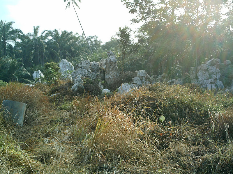 IMAG0009.JPG