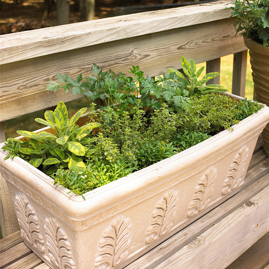 Cottage Garden Fresh Ideas for Growing Vegetables in Containers