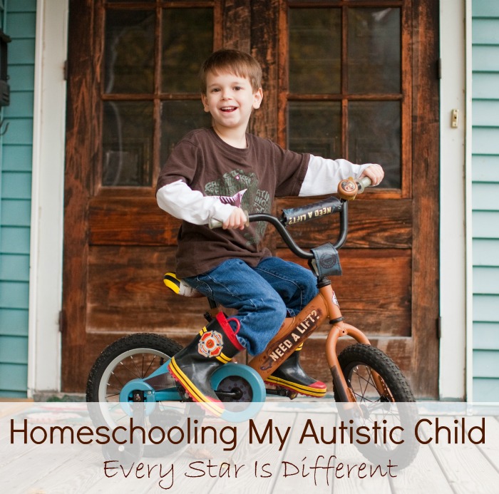 Homeschooling My Autistic Child