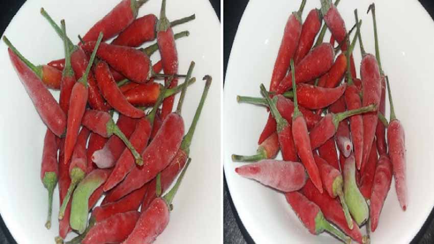 Ibu-ibu Wajib Tahu,Begini Tips Agar Cabai Bisa Tahan Sampai 6 Bulan, Tanpa Rusak Tanpa Busuk! Begini Tips Agar Cabai Bisa Tahan Sampai Ibu-ibu Wajib Tahu,Begini Tips Agar Cabai Bisa Tahan Sampai 6 Bulan, Tanpa Rusak Tanpa Busuk!