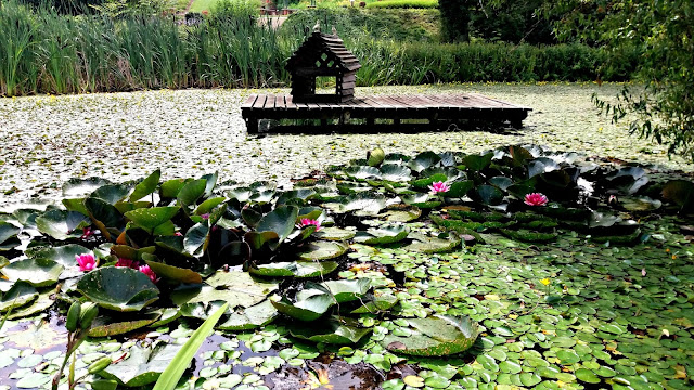 arboretum wojsławice