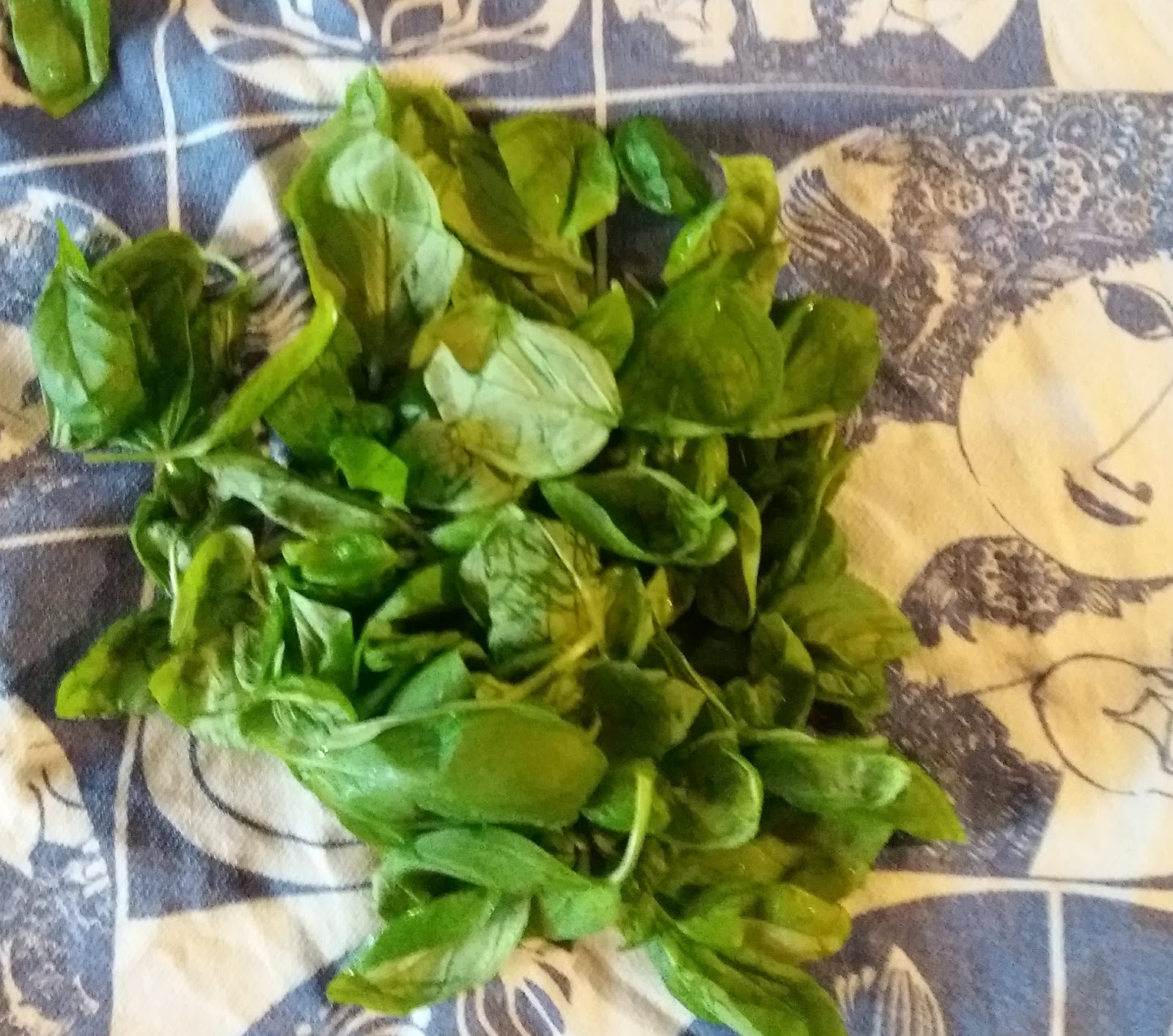 Freeze Fresh Basil