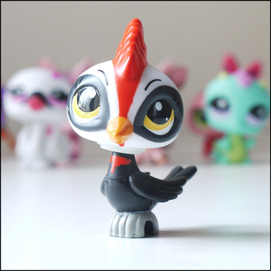 Bird In Everything Mechanical Bird Toy