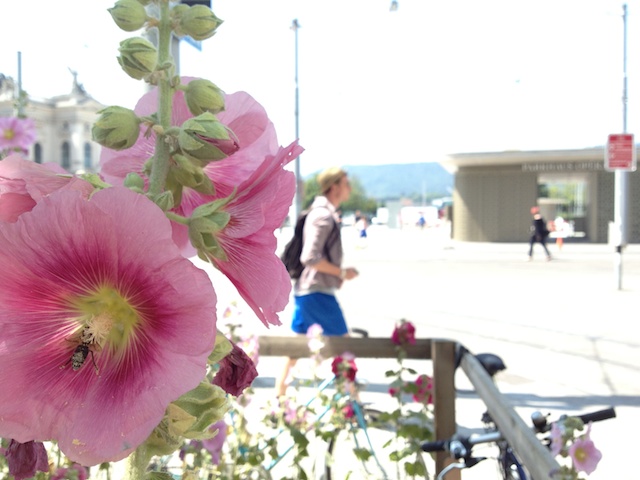 Meine Sommerpost Geht Auf Die Reise Und Eine Sommer Blogpause