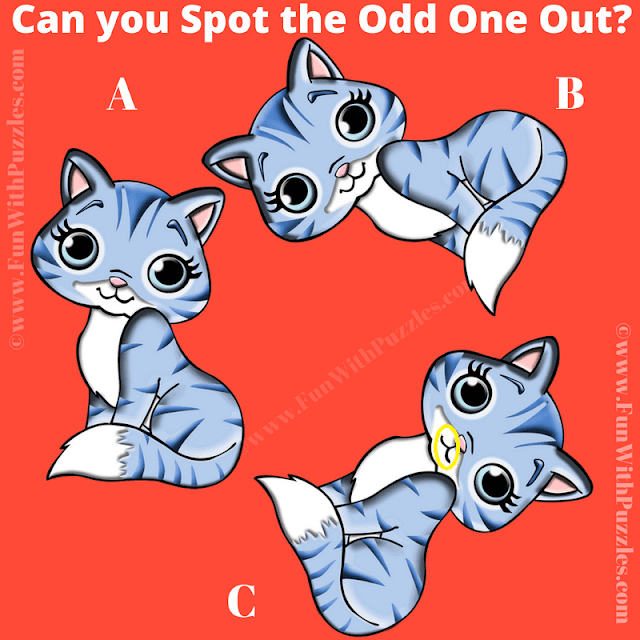 Spot the Odd Cat Out: Picture Puzzle Answer