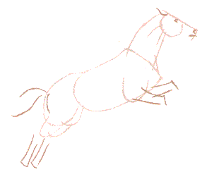  4.gif