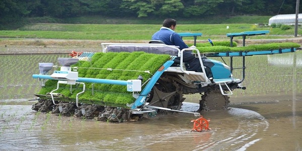 Teknologi Mesin Pertanian