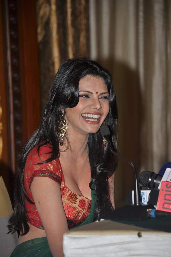 Sherlyn Chopra: The first Indian to shoot for playboy