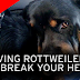Βουρκωμένο Rottweiler θρηνεί τον αδερφό του
