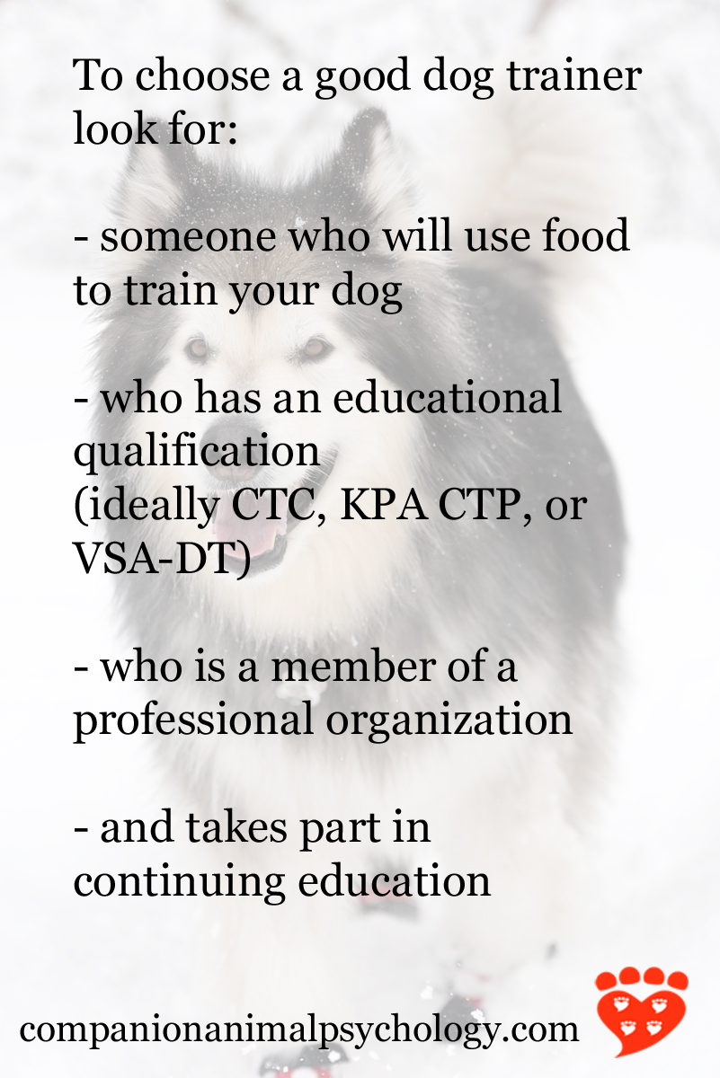 How to Choose a Dog Trainer