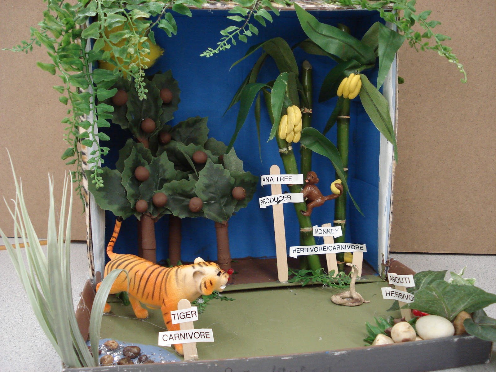 Take a Dive into Grade 4/5 Habitat Home Projects