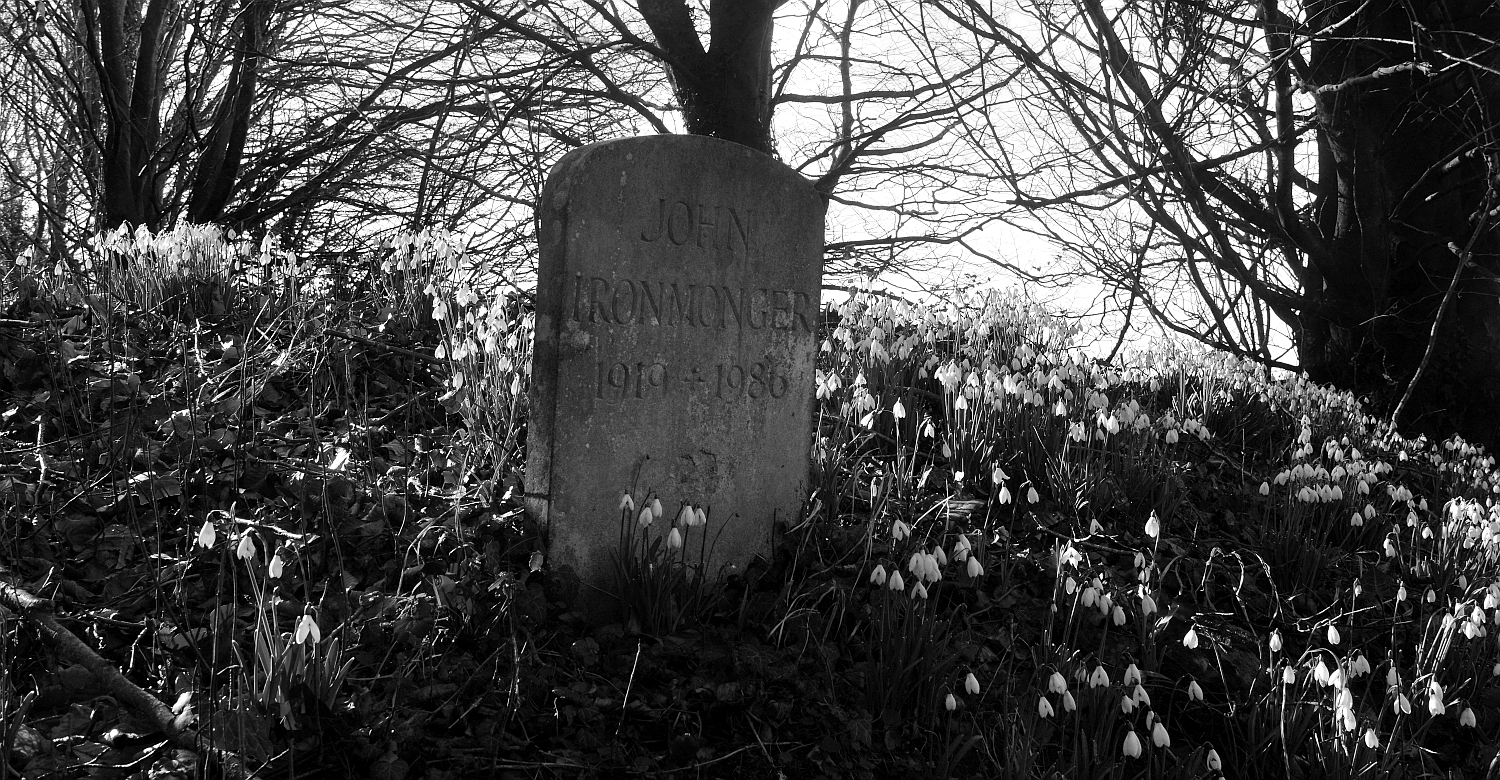 IF YOU GO DOWN TO THE WOODS TODAY.... John Ironmonger