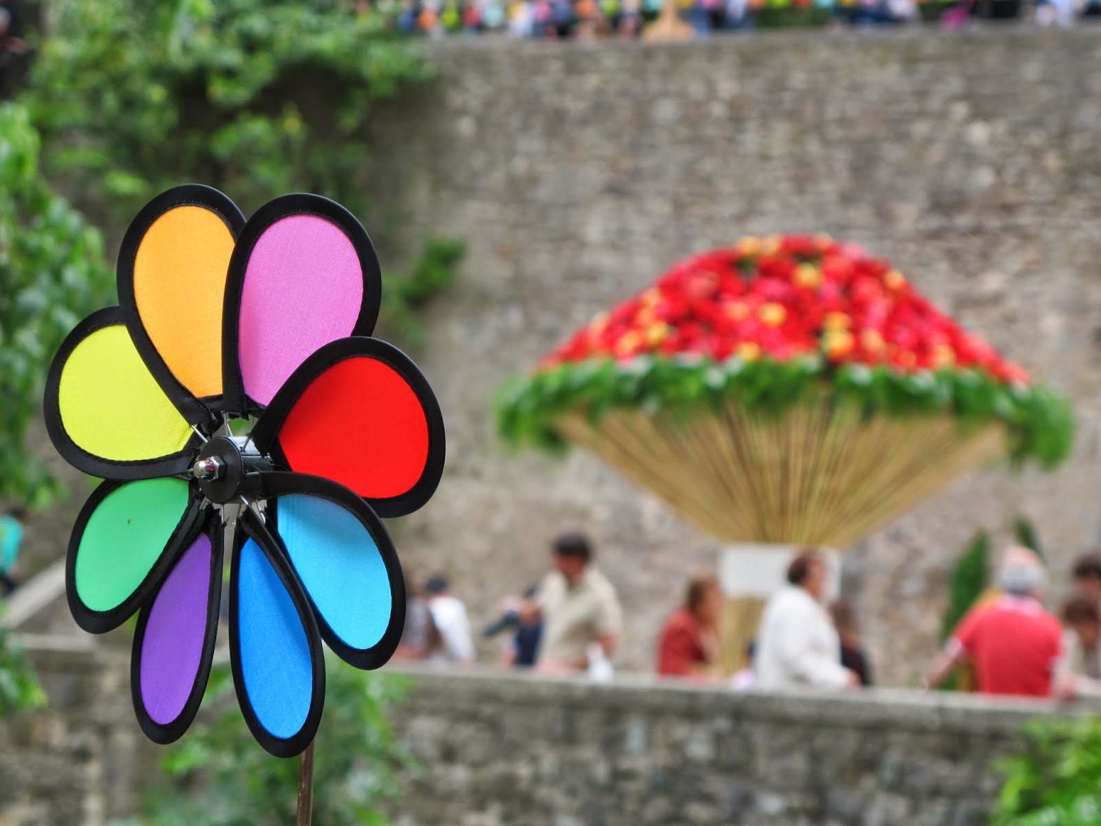 Associaci Fotogr fica Jaume Oller Girona Temps De Flors