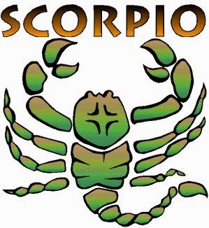 Jodoh Scorpio Menurut Zodiak Berbagi Informasi Untuk Semua
