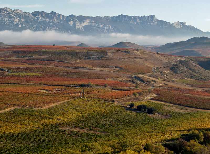 La Rioja de la A a la Z: LA RIOJA SE VISTE DE OTOÑO