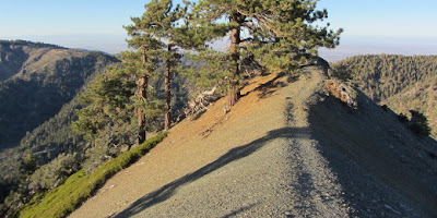 View south on North Backbone Trail