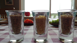 Quinoa, Hirse und Bulgur in Schnapsgläsern