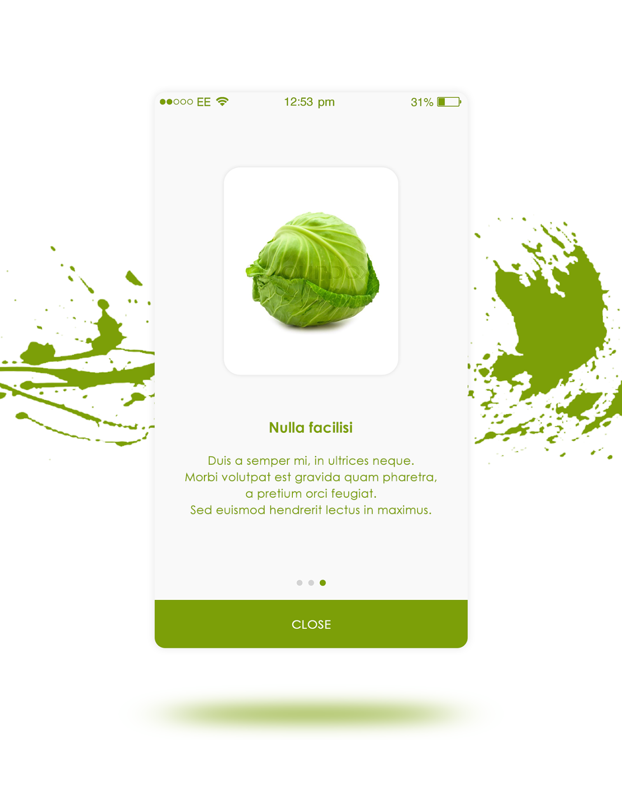 Grocery App Introduction Slides For Android And iOS App Grocery App Introduction Slides For Android And iOS App