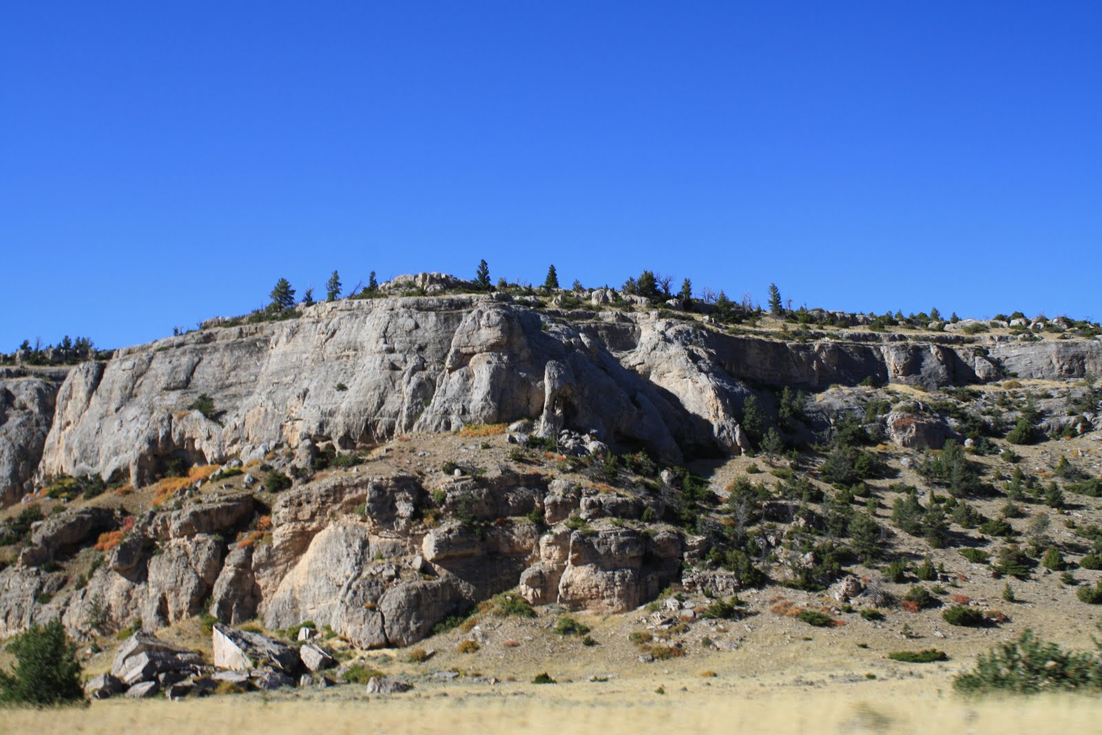 Living and Dyeing Under the Big Sky Pryor Mountain Drive