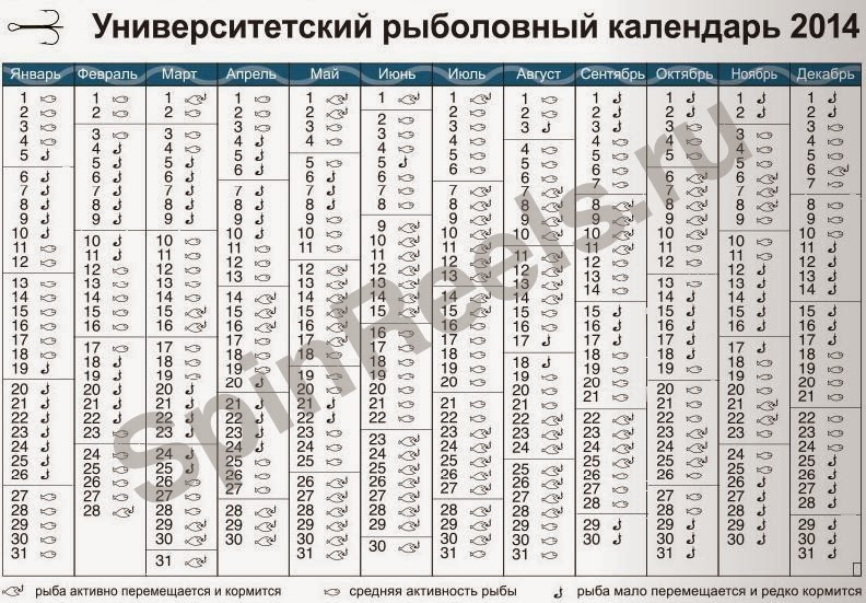 Лунный календарь рыболова на 2021 год - Влияние фаз Луны на клев рыбы! Рыбалка, 