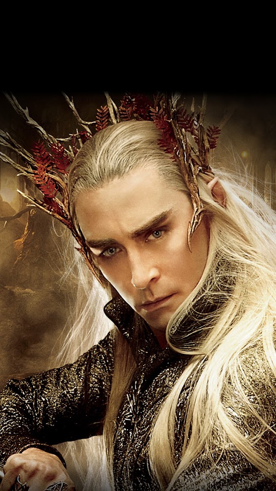   The Hobbit The Desolation of Smaug Thranduil   Android Best Wallpaper
