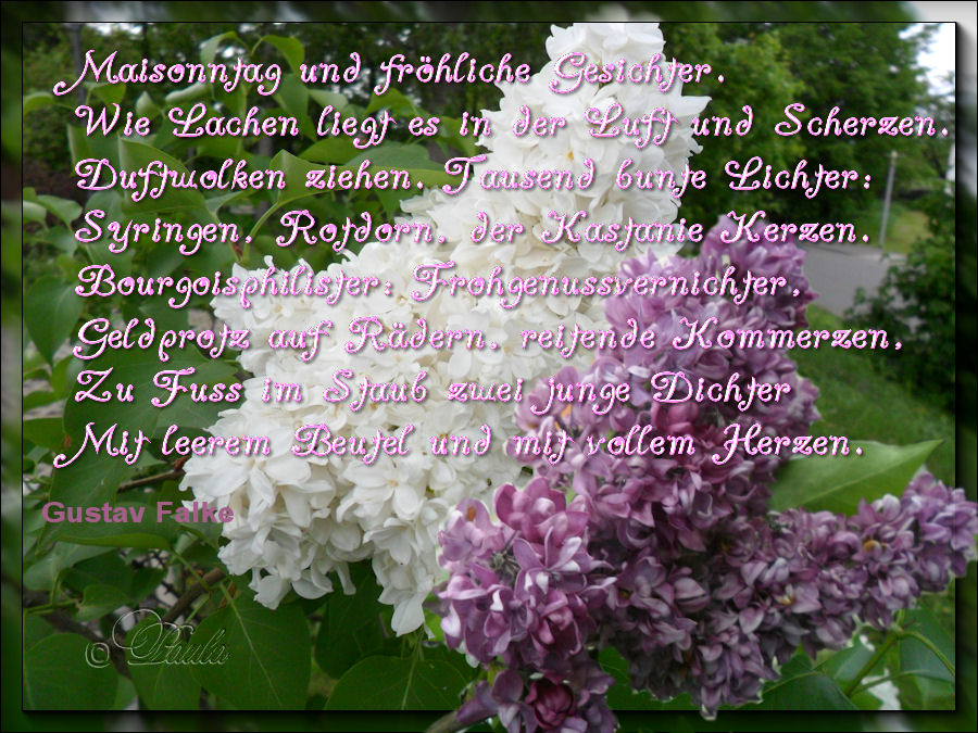 Paulas Bilder Foto Allerlei Zitat Im Bild