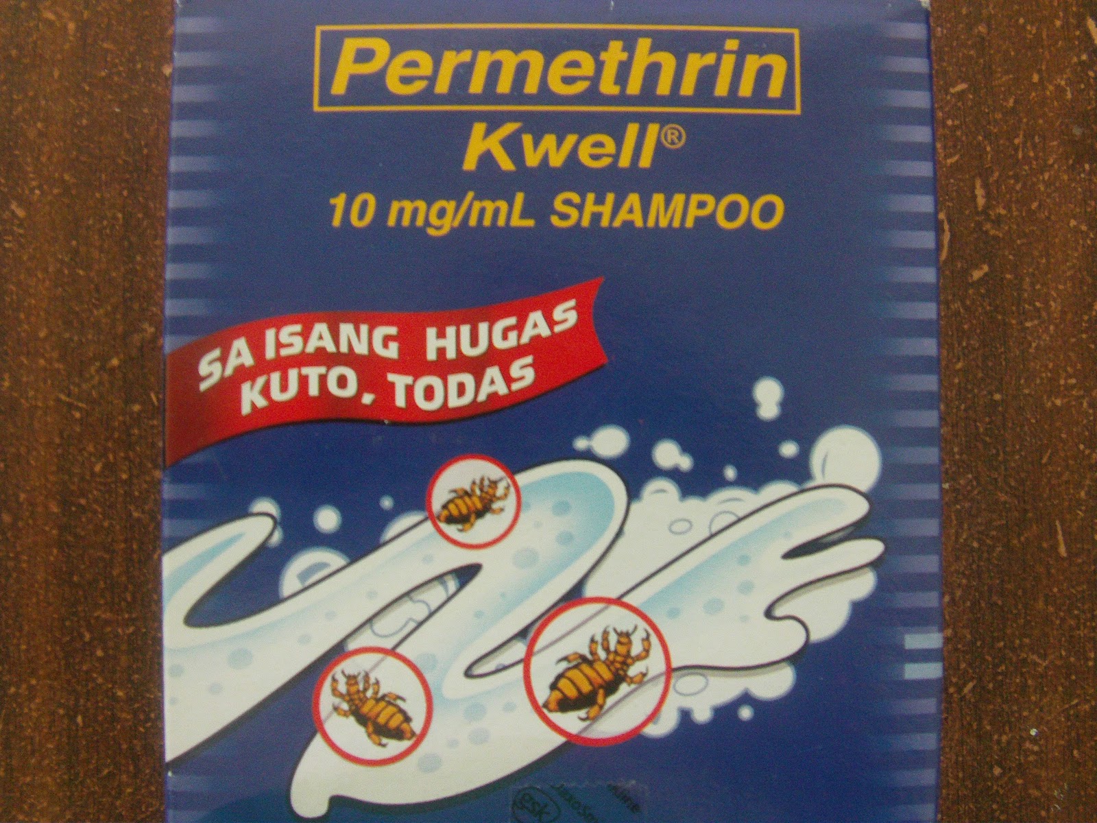 Elijah's Cry Blog Missions Past Postings of "Philippines Ministry