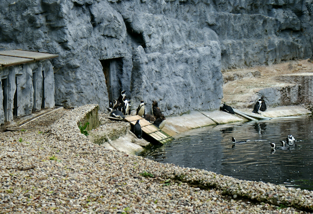 lodzkie-zoo