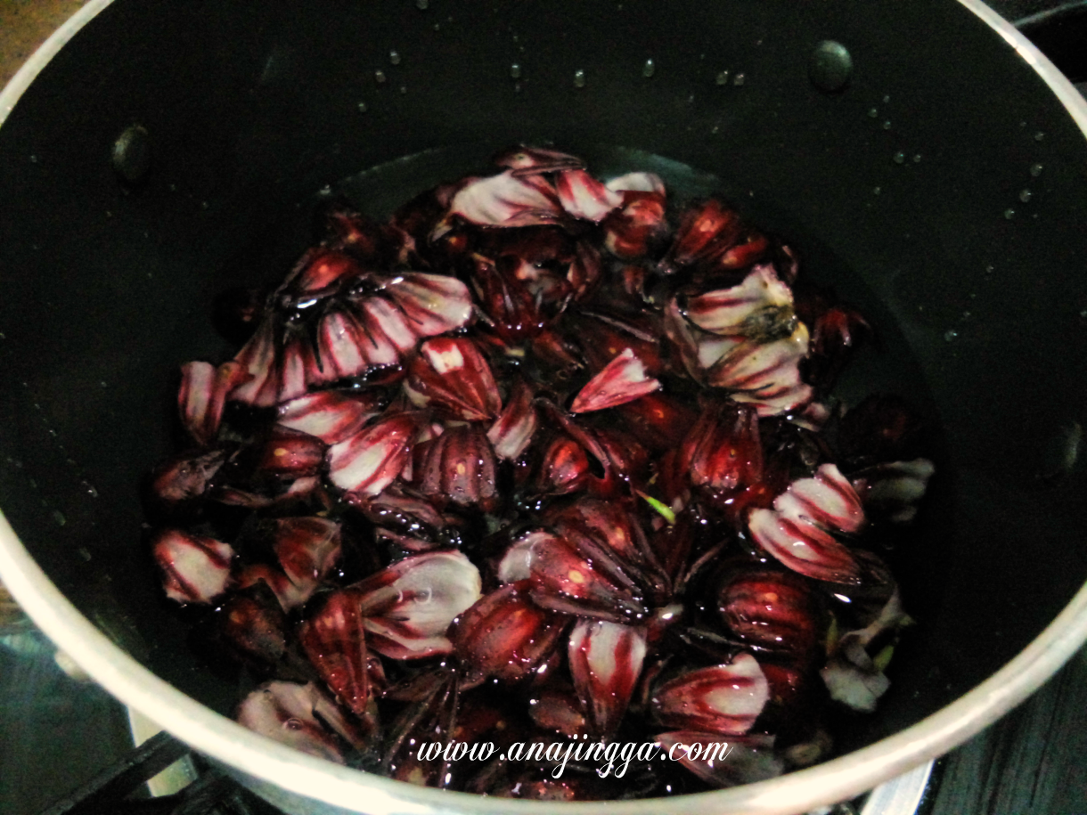 Cara Buat Jus Buah Rozel