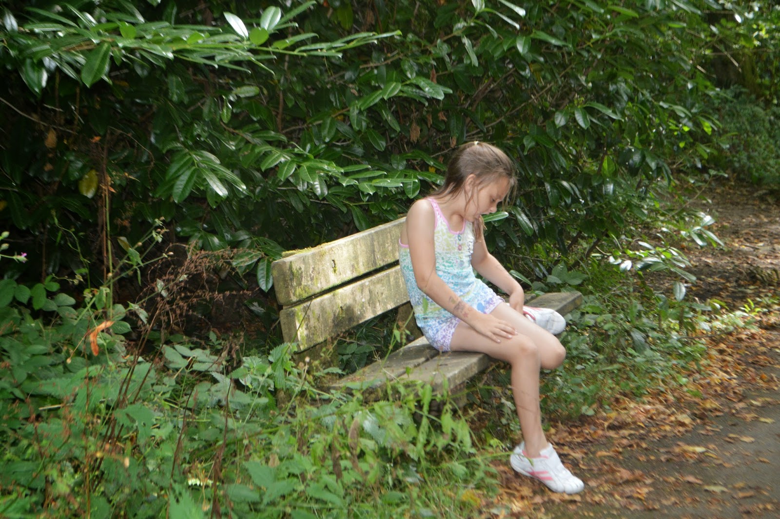, A Woodland Walk at Withybush Woods #CountryKids