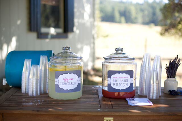 Rustic DIY Family Farm wedding on oh lovely day | Jamie Delaine Photography