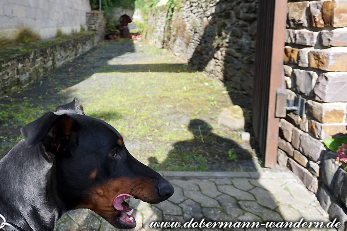 Burgerportal Bergisch Gladbach Nachrichten Hintergrunde Termine Und Service Aus Bergisch Gladbach Page 61