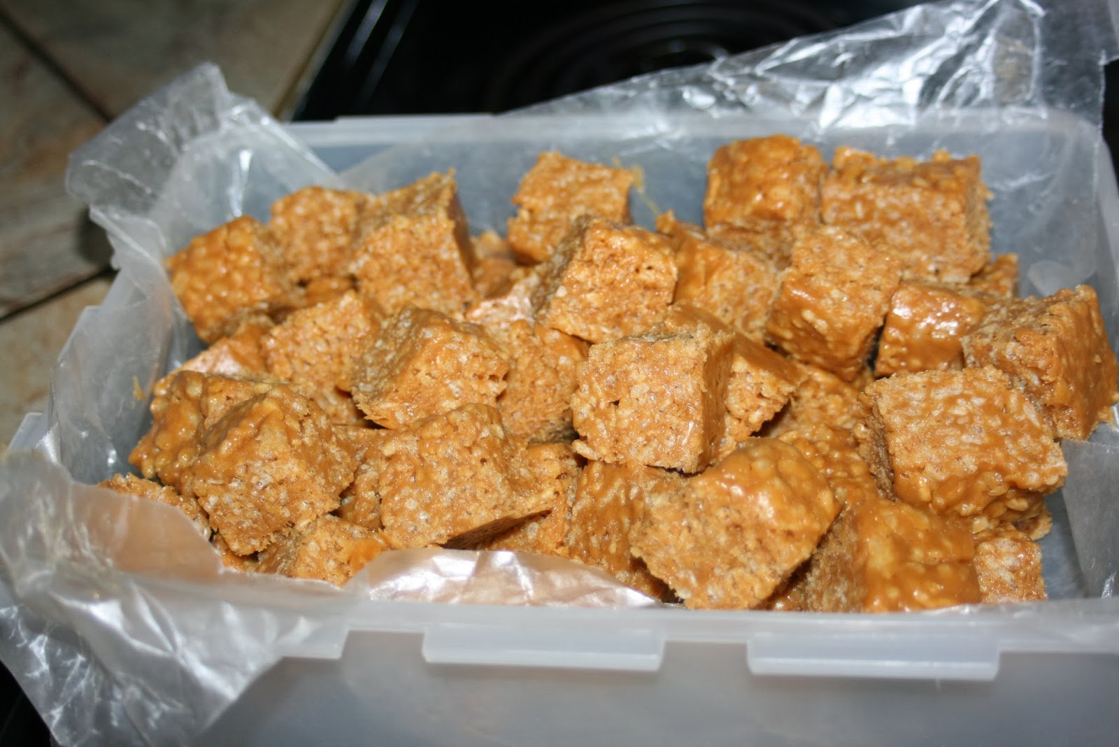 Challenged Survival Peanut Butter Fudge Rice Crispy Treats