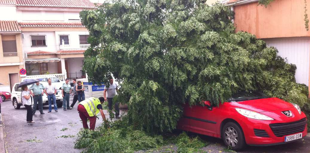 Caso fortuito, fuerza mayor y culpa de la víctima como causas de exoneración de responsabilidad