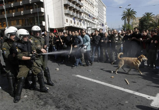 greece riot dog, greek riot dog, athens riot dog