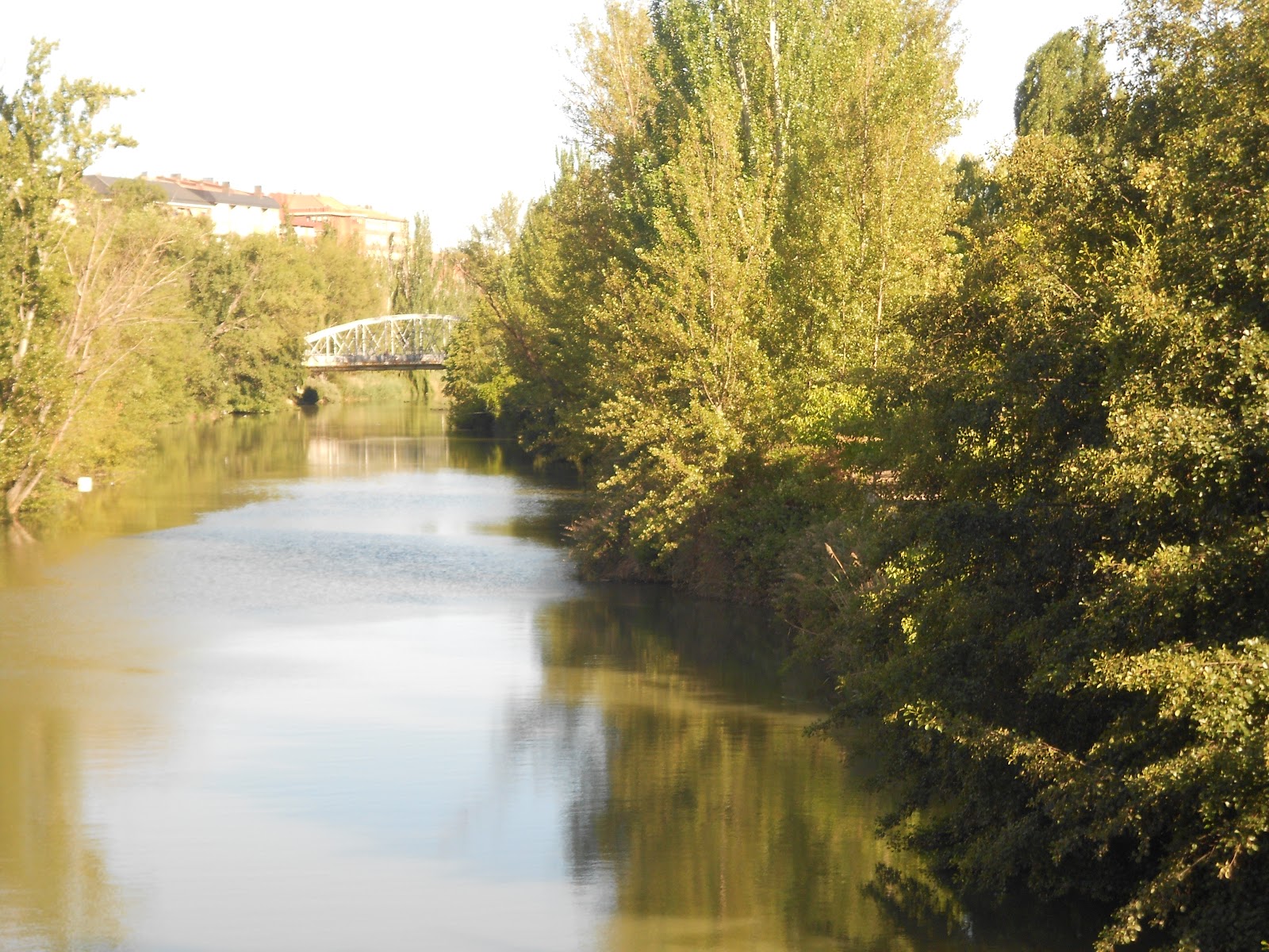 Palencia antimelancólica Un río en la ciudad