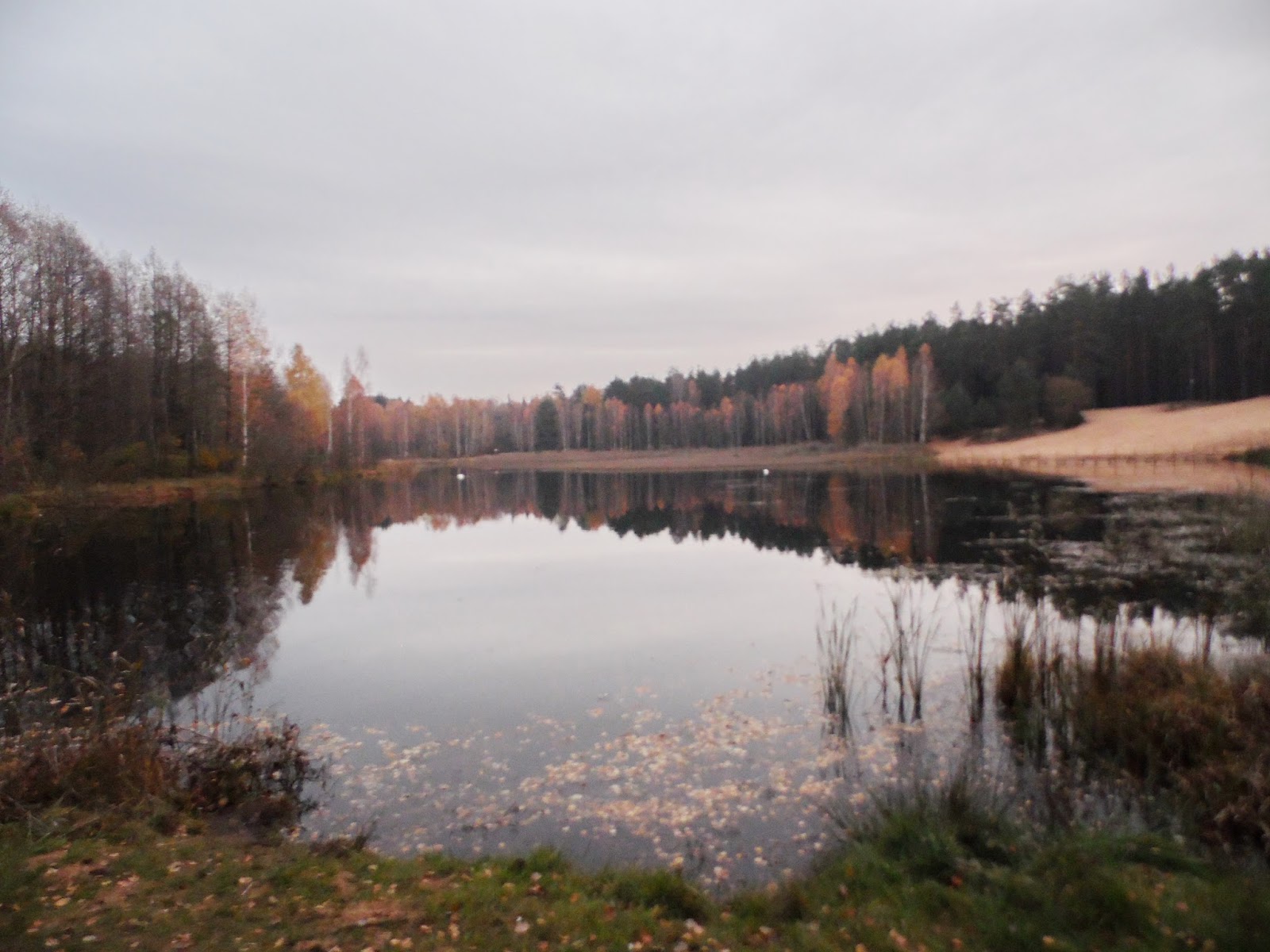 озеро гать барановичский район