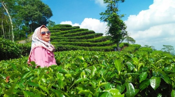 Arti Makan Pete Bakar Menurut Primbon Jawa Pendapat Ulama Serta Adab Bermimpi Buruk Tafsir Mimpi Patih Jawa Kuno