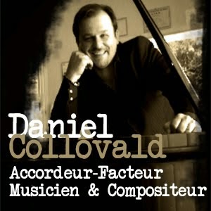 Daniel Collovald - Artiste