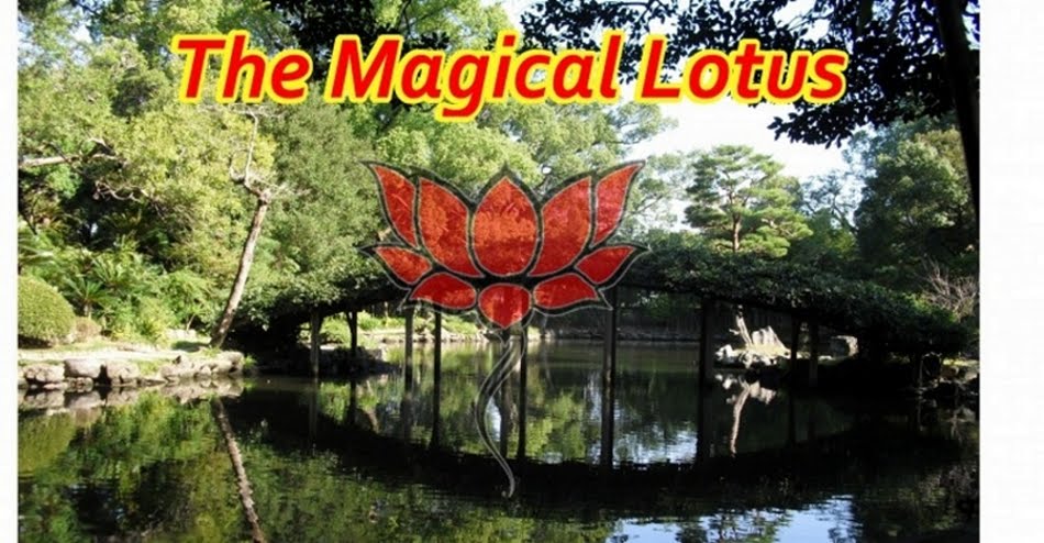The Magical Lotus