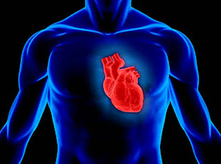 Jantung Sihat dengan Omega-3