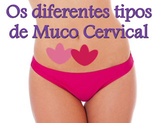os diferentes tipos de muco cervical 