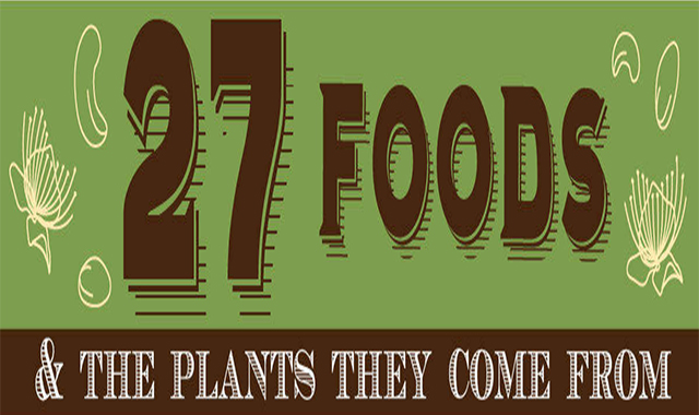 27 Foods and the Plants They Come From #infographic