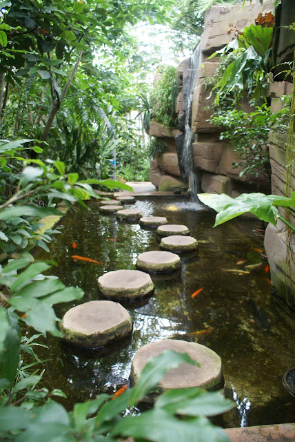 koi pond with stepping stones