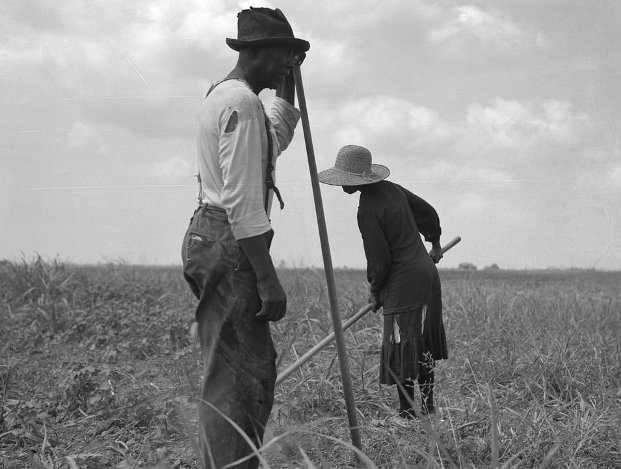 jim crow summary jim crow summary